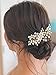 Unsutuo Crystal Bride Wedding Hair Comb Silver Rhinestone Flower Bridal Hair Pieces Pearl Wedding Hair Accessories for Women and Girls… (Gold)