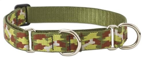 LupinePet 1" Bone Hunter 15-22 Combo Dog Collar