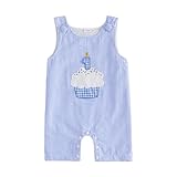 Amiblvowa 1st First Birthday Outfit Boy Baby Sleeveless One Embroidery Romper Jumspuit One Piece Smash Cake 1 Year Old Clothes (Blue Cake, 12-18 Months)