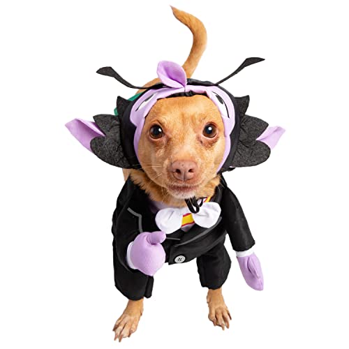 Disfraz perro The Count Sesame Street pequeño