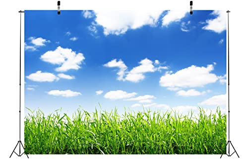 Fondo Fotográfico BELECO 10x8ft Tela Azul Cielo Naturaleza miniatura 2
