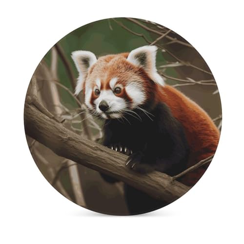 Dessous de verre céramique liège panda rouge protège table boissons chaudes - 4