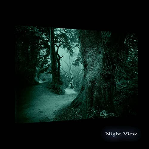 Startonight Quadro su Tela Verde Grezza, Quadri