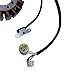 stator coil Fits for Yamaha ATV Raptor 350 YFM350 2004-2010/ Big Bear 400 / WARRIOR 350 YFM350 2002 2003 2004#OEM 5NF-81410-00-00 5FU-81410-00-00