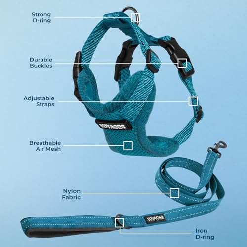 Image of Best Pet Supplies Voyager Step-in Lock Pet Harness w Reflective Pet Leash Combo Set with Neoprene Handle 5ft - Supports Small, Medium and Large Breed Puppies /Cats - Turquoise Set, M