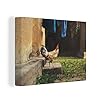 MuchoWow Canvas Schilderij Decoratie – 40×30 cm – Haan – Stenen – Gras – Wanddecoratie Muurdecoratie Woonkamer…