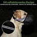 Maulkorb Mittlere Hunde, Hundemaulkörbe mit Klettverschluss, Atmungsaktive Hunde Maulkorb, Haustiermaske Hundemaulkorb mit Reflektierendem & Verstellbarem Riemen (XL)