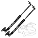 2 x Tailgate Trunk Lift Support Liftgate Shock Struts for Toyota Land Cruiser Lexus LX470 1998-2007