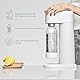 Mysoda: Woody Set - Wassersprudler aus erneuerbarem Holzkomposit Material mit 1L Quick-Lock BPA-frei Plastikflasche und CO2-Zylinder - Salbeigrün (Pigeon)