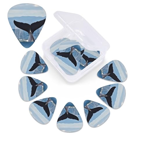 Whale Tailギターピック 12個パック 3つの異なる厚さ パーソナライズされたセルロイドギターピック エレクトリックギター用オーガナイザー収納ボックス付きアコースティックギターピック