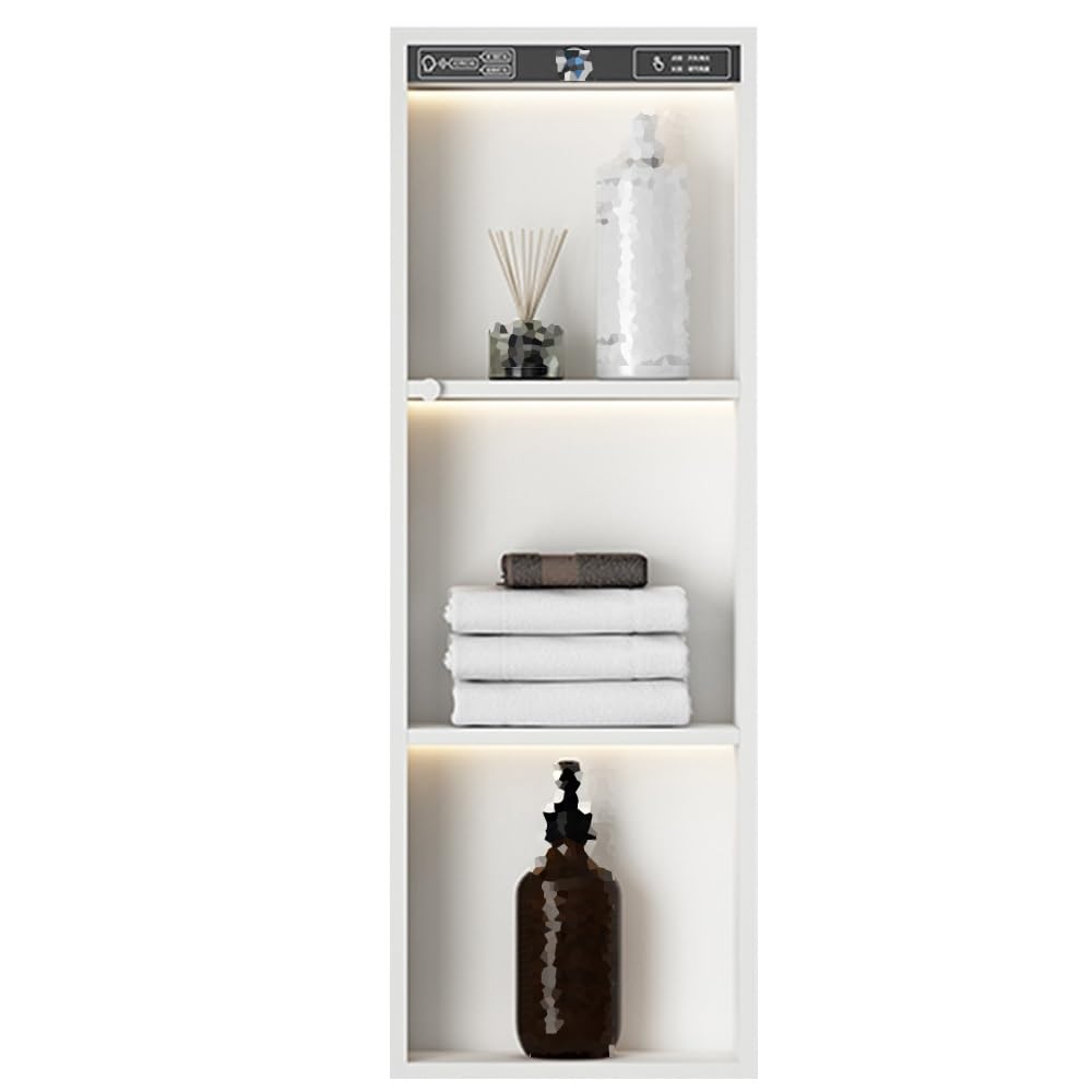 Douche en acier inoxydable LED étagère murale encastrée salle de bain moderne