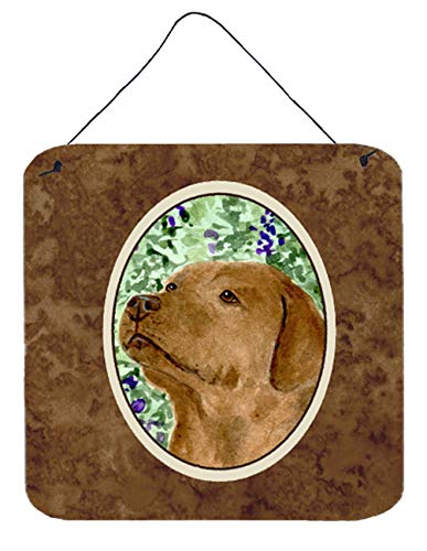 Caroline's Treasures SS8743DS66 Chocolate Labrador Wall or Door Hanging Prints Aluminum Metal Sign Kitchen Wall Bar Bathroom Plaque Home Decor, 6x6, Multicolor