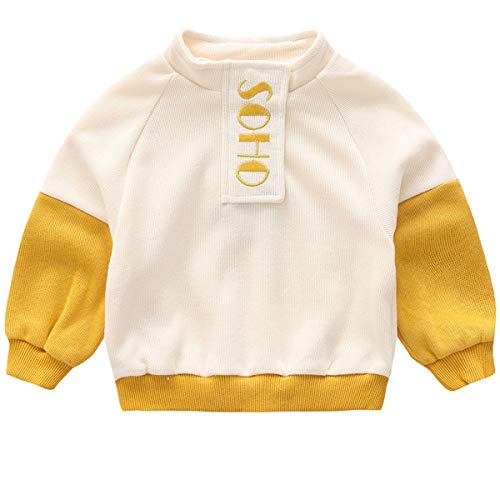 Little Toddler Kids Girls Spring Cotton Fall Long Sleeve Casual Blouse Tops