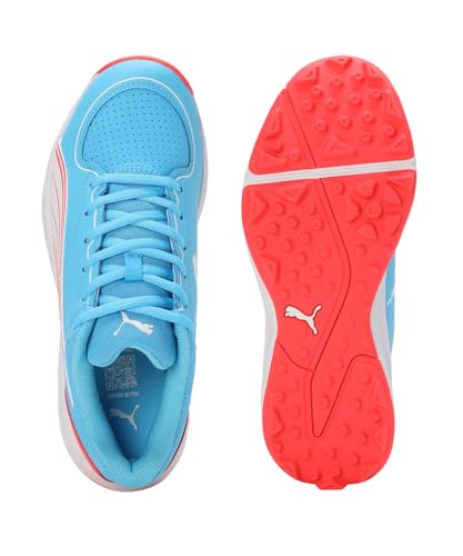 Image of Puma Unisex-Adult 24 Fh Rubber Cricket Shoe