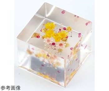 Amazon.co.jp: アーテック 2液性レジン 300g 39026 : 産業・研究