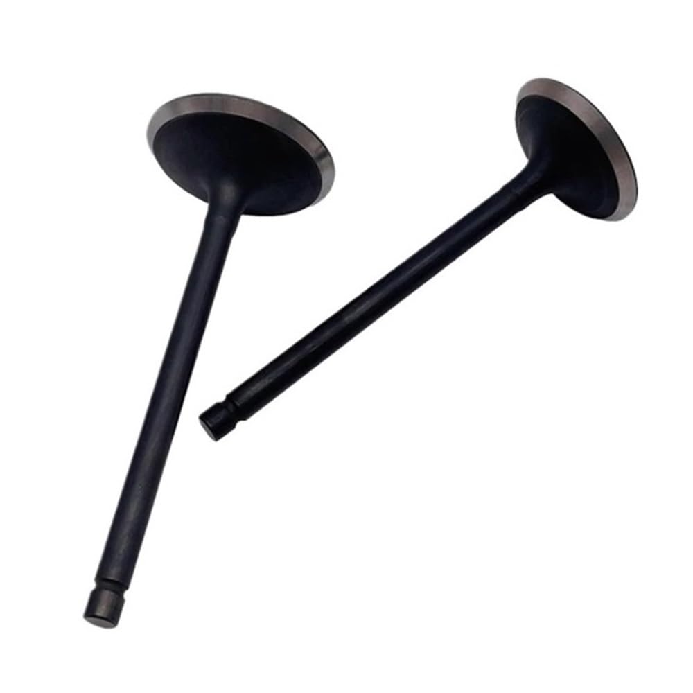 Intake Valve Fit for L 400 Engine Part 27223 27222