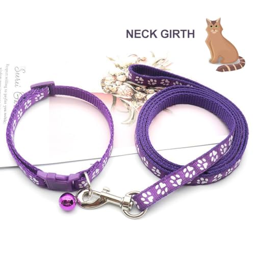 Hundehalsband und Leine Set für Kleine Hunde, Bequem Verstellbar, Welpenhalsband, Lila