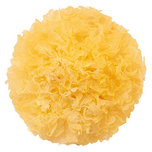 Fungo Tremella,Fungo della neve,Commercio all'ingrosso del fungo bianco,500g (0,5 kg)