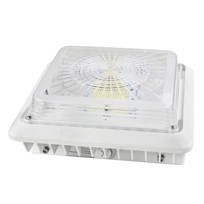 GREENLIGHTDEPOT LED Canopy Light - 25W, 40W, 55W, 75W, 100W - Outdoor Parking Garage Light - PG02 - (UL+DLC Listed) (PG02-White, 100W (5700K))