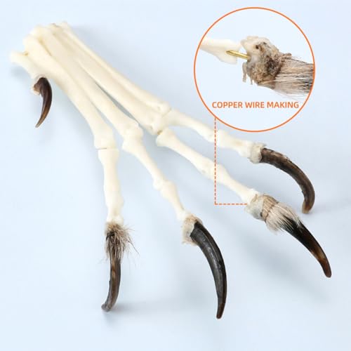 Image of 1PCS Handmade Copper Wire for Making Fox paw specimens, Collecting Gift Bone specimens Ornament