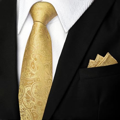 Image of DiBanGu Silk Floral Ties for Men Woven Paisley Necktie and Tie Clip Handkerchief Cufflinks Set for Party Wedding