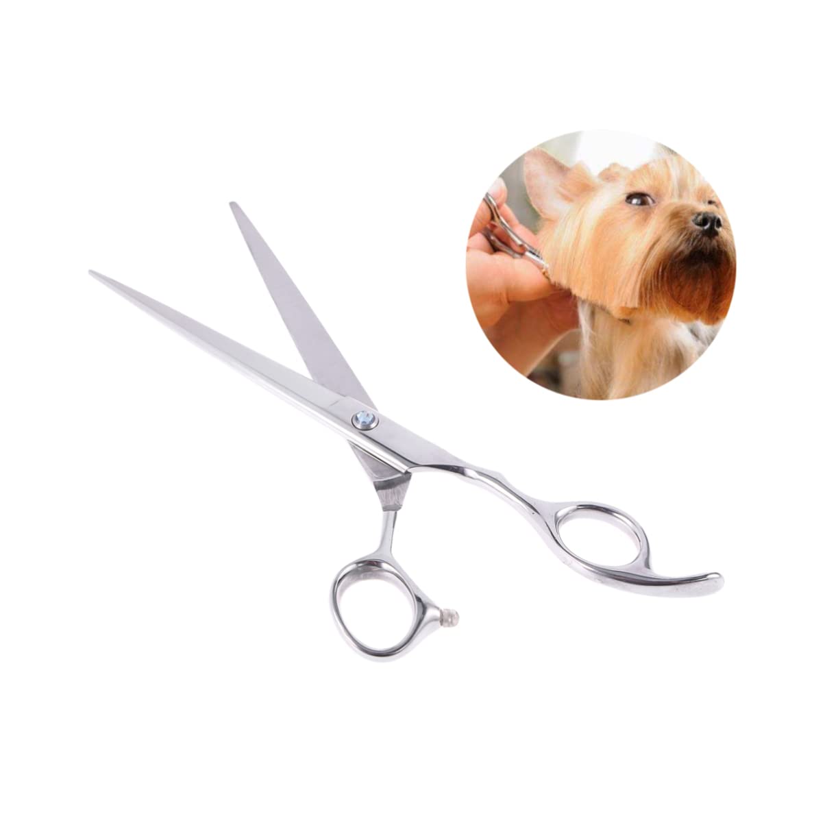 minkissy 3 Piezas Tijeras De Ojal Tijeras De Cejas Para Cortar Perros Cortar Con Herramientas De Peluquería Para Mascotas De Peluqueria Canina Oficina Animal Hilo