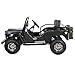 X-PRO Ranger 125 125cc Go Kart with 3-Speed Semi-Automatic Transmission w/Reverse, Big 18