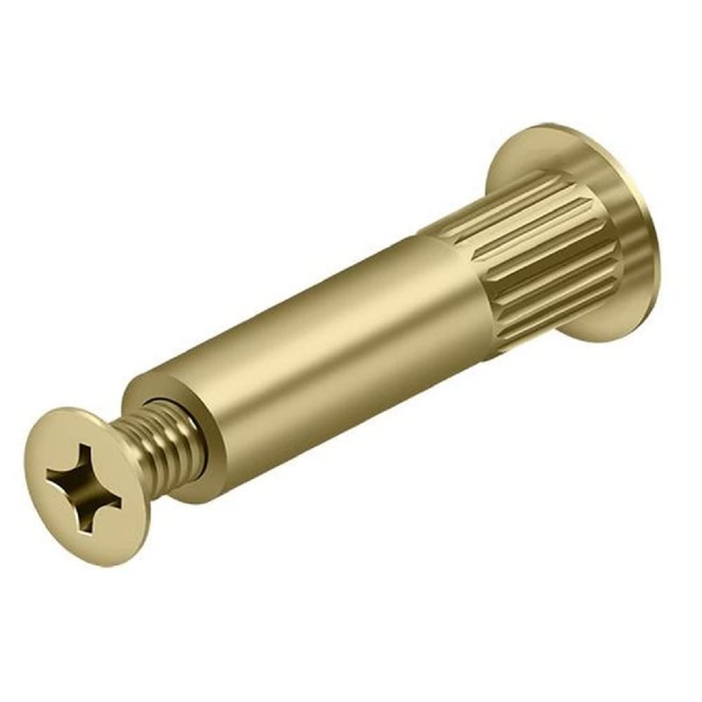 Amazon.com: Deltana Dcsb175-gold Door Closer Sex Bolt, Gold