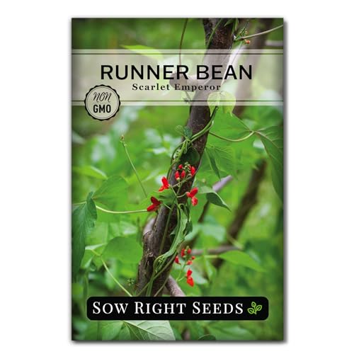 Sow Right Seeds - Scarlet Emperor Runner Bean Seeds for Planting - Non-GMO Heirloom Packet with Instructions to Plant & Grow an Outdoor Home Vegetable Garden - Tall and Fast Growing Vining (1)