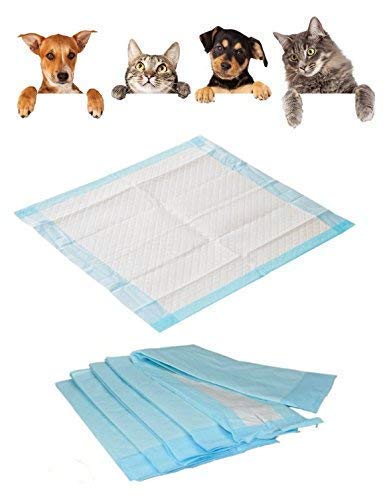 Medi-Inn 100 Pièce 40 X 60 cm 12-lagig Einmalunterlagen Hygieneunterlagen pour Animaux Domestiques