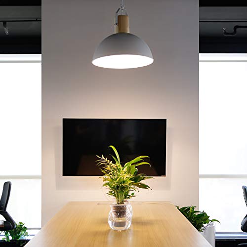 Tomons Lampada da Soffitto Lampada a sospensione