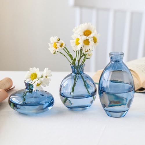 Florero transparente pequeño de mesa set de 3 jarrones modernos de vidrio para oficina 4
