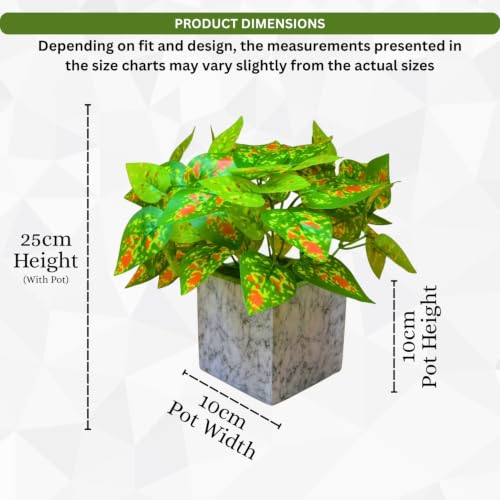 Image of fancymart Artificial Plant with Real-Touch Leaves in Pot, 25 cm, Indoor Tabletop Item for Home Decor, Office, Living Room