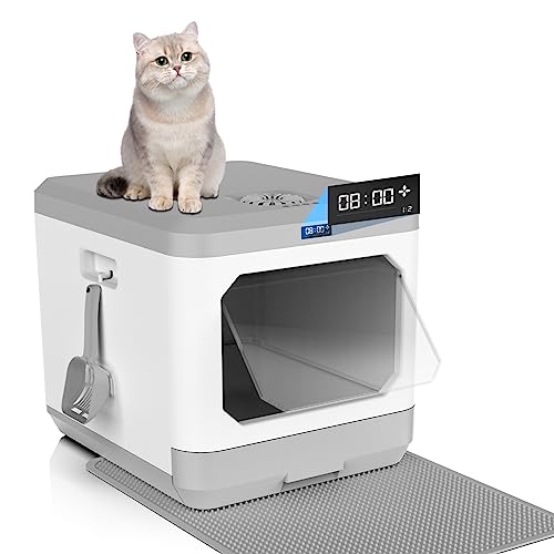 Top 10 Best Auto Scooping Litter Box Reviews & Buying Guide Katynel