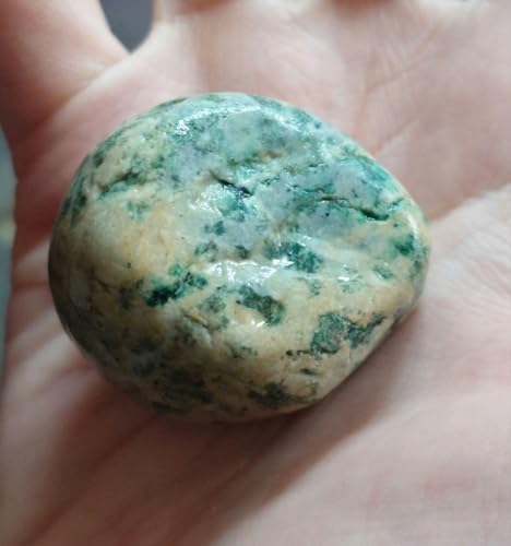 ǂFIY Őɉ XgxiCg ϐ <0701zޗE[X>