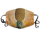 SESLFLKPJK Adults Boys Girls Warm Protective Masks Fashion Scarf Anti Dust Windproof Mouth Cover, Upside Down Pineapple Mouth Decoration for Sports Travel Hiking