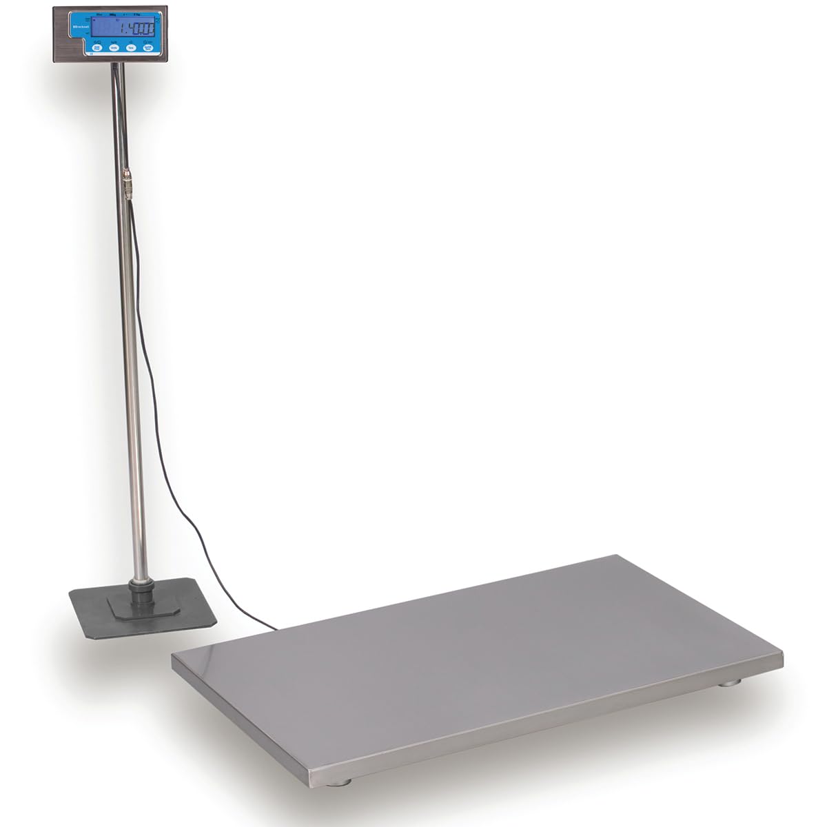 Brecknell Scales 36 inch L Floor Scales Veterinary Scales