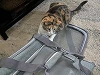 Review Image by Colleen Colleen