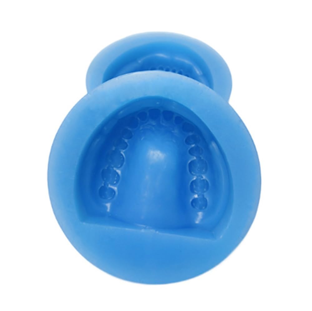 Modello in gesso dentale da 2 pezzi, stampo di mascella edentula, blocco di cavità completo, denti interi