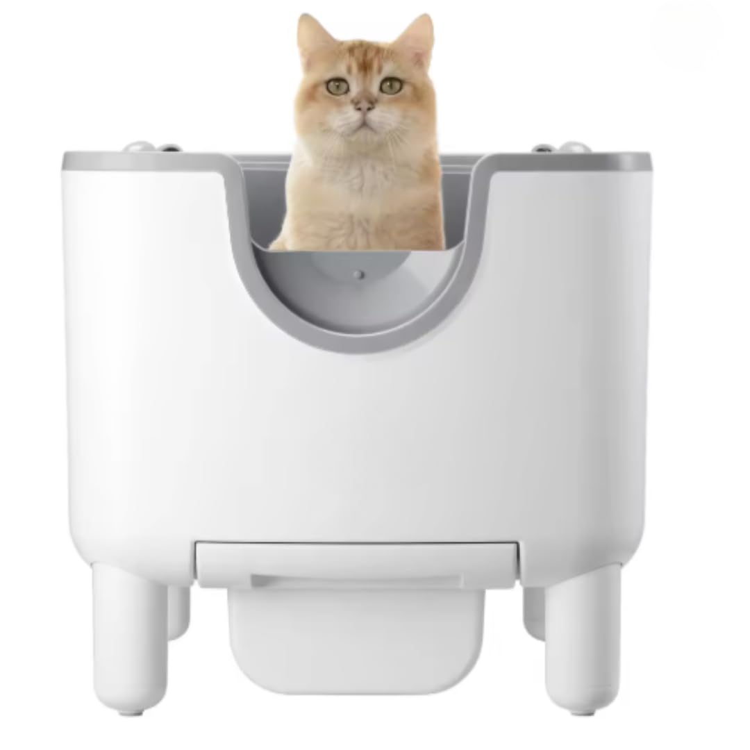 F6 Self-Cleaning Litter Box - Open-Top Automatic Cat Litter Box with Odor Control, Safety Features, and Easy Maintenance
