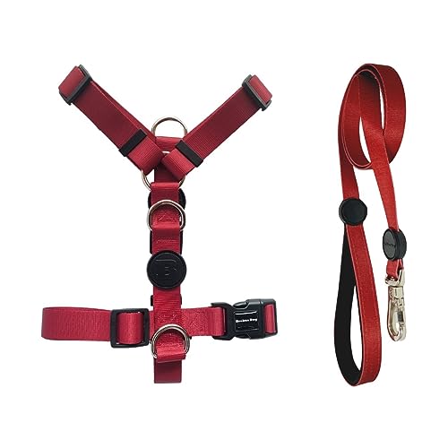 Kit Peitoral H com antipuxão Brabus Dog + Guia Premium Vinho Tamanho:M