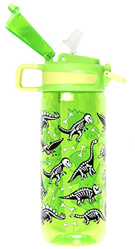 Fringoo - 600ml Kids Water Bottle with Straw & Fliptop Lock - 100% Leakproof - BPA Free 600ml Kids Water Bottle for School - Dinosaur Lunch