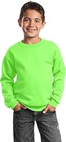 Algopix Similar Product 4 - Port  Company  Youth Core Fleece