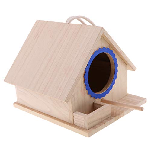FLAMEER DIY Bird House Kit for Kids and Adults - Easy Assembly, Birdhouse Kit - Wooden Birdhouses, Blue