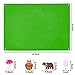 WATINC Animals Felt Story Board Set 3.5Ft 54Pcs Preschool Animal Classification Storytelling Flannel Dinosaur Sea Insect Jungle Farm Zoo Early Learning Play Kit Wall Hanging Gift for Toddlers Kids