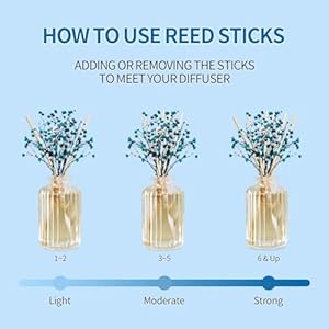 Reed diffuser set with preserved real flowerreed diffuser sticks59ozcashmere vanilla scent fragrance essential oil scented diffuser for bedroom bathroom home decoroffice decor  urban country home decor