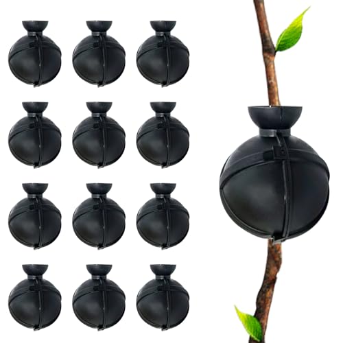 JINGHANGER 12 Piezas Dispositivo de Enraizamiento de Plantas Caja de Crecimiento de raíces de Plantas Propagación de Plant para Injerto de Jardín