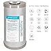 Fortitude V2 Series Sediment/Carbon/Zinc Bacteria Inhibiting Triple Purpose Replacement Filter - Standard (Sediment/Carbon/Zinc, Standard)