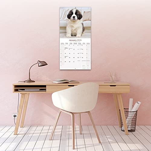 Saint Bernard Calendar 2024 - Image 4