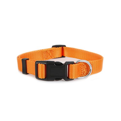 Petmate Ruff Maxx Adjustable Collar, Orange, 3/4" X 14-20" #TOP16
